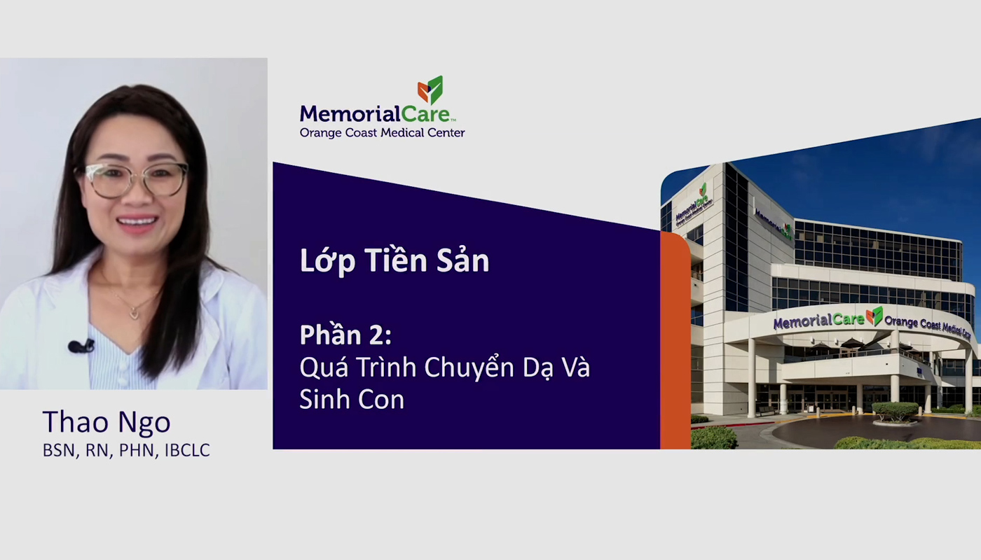 Vietnamese Childbirth Series Online Presentation Part 2