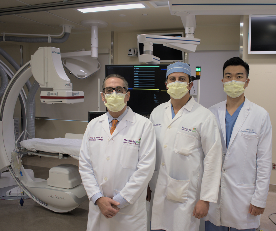 MHVI Leaders in Research