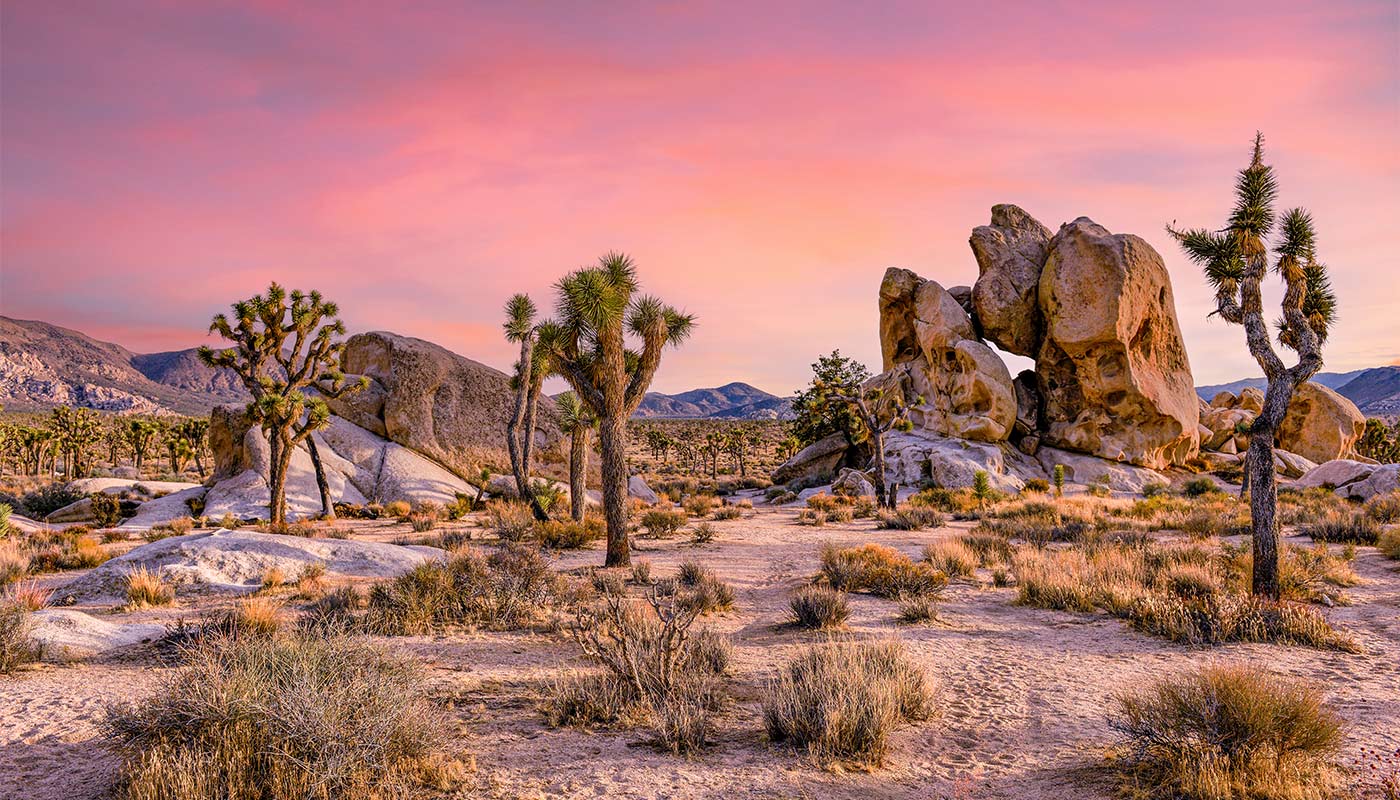 Joshua Tree National Park
