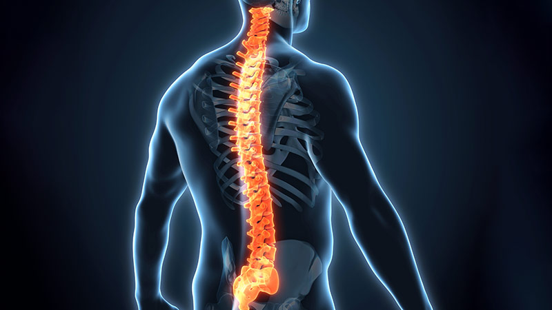 MemorialCare Spine Health Center - Orange Coast Medical Center (Health & Wellness Pavilion)