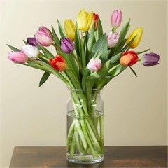 Tulip Arrangement